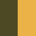 Loden / Amber Gold